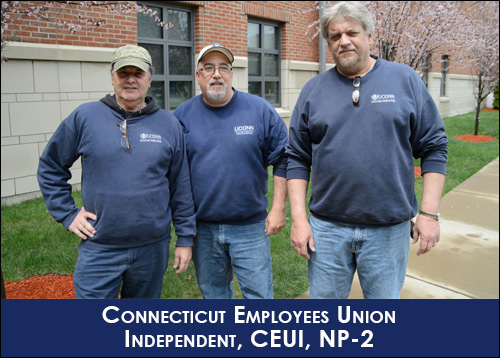 Connecticut Employees Union Independent, CEUI, NP-2