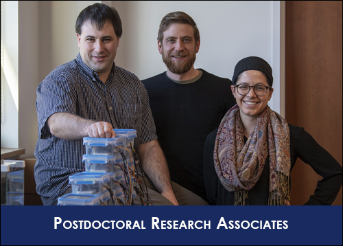 Postdoctoral Research Associates