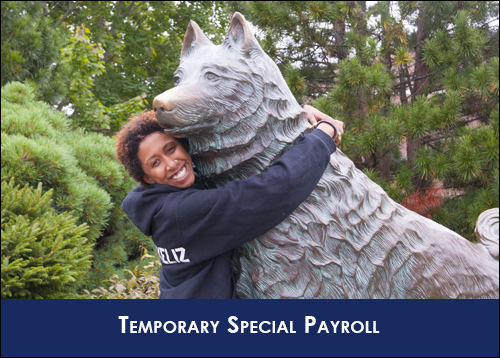 Temporary Special Payroll