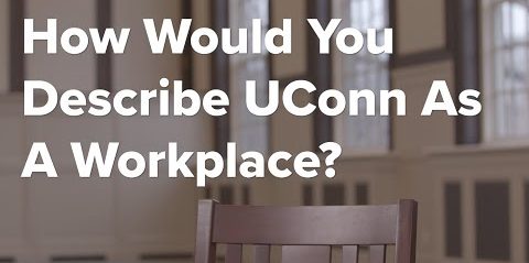 How Would You Describe UConn As A Workplace?