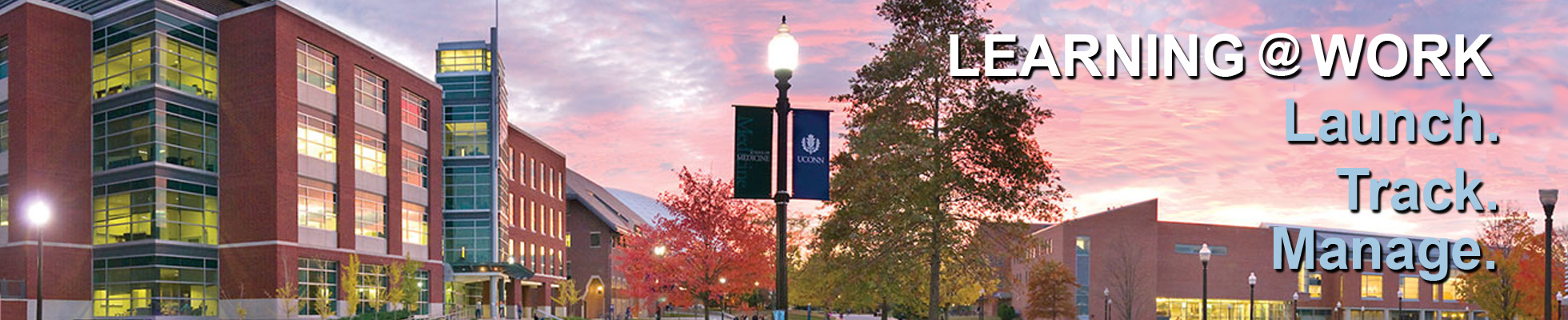 UConn Learning@Work, powered by Saba Cloud, is a University-wide training management system developed in partnership with UConn Health.