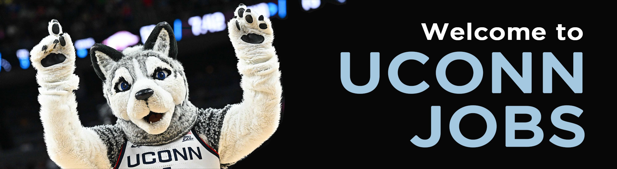 UConn Jobs