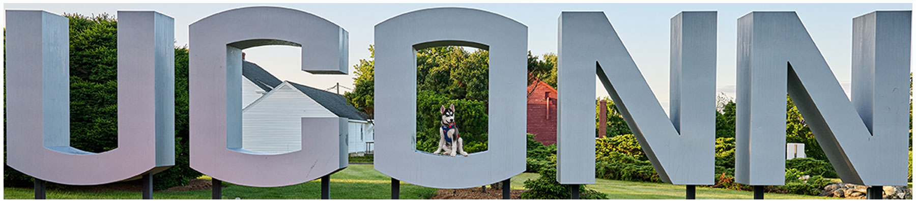 Cute photo of Jonathan as a puppy sitting in the letter O of the large UConn logo on the campus