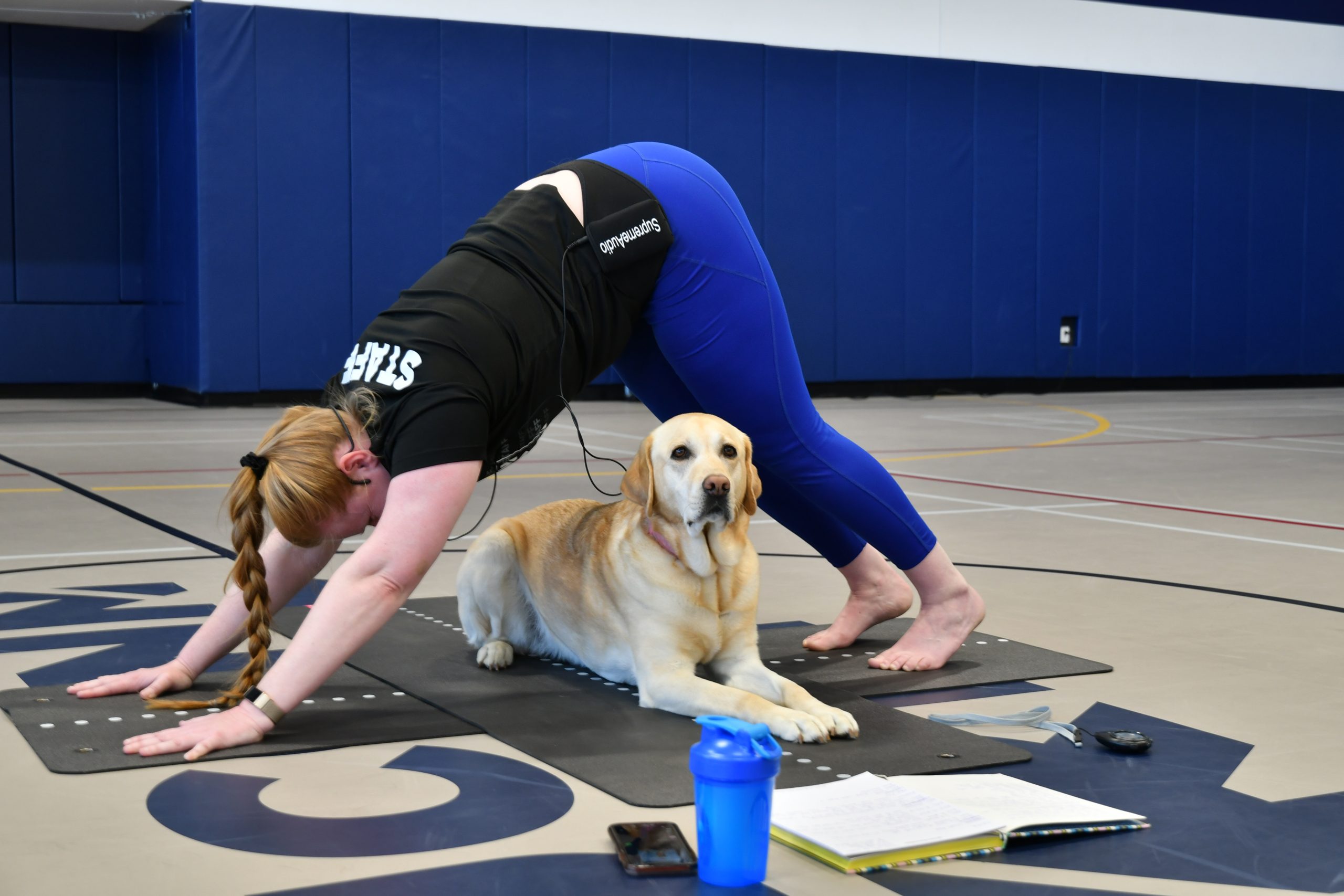 Dog Yoga