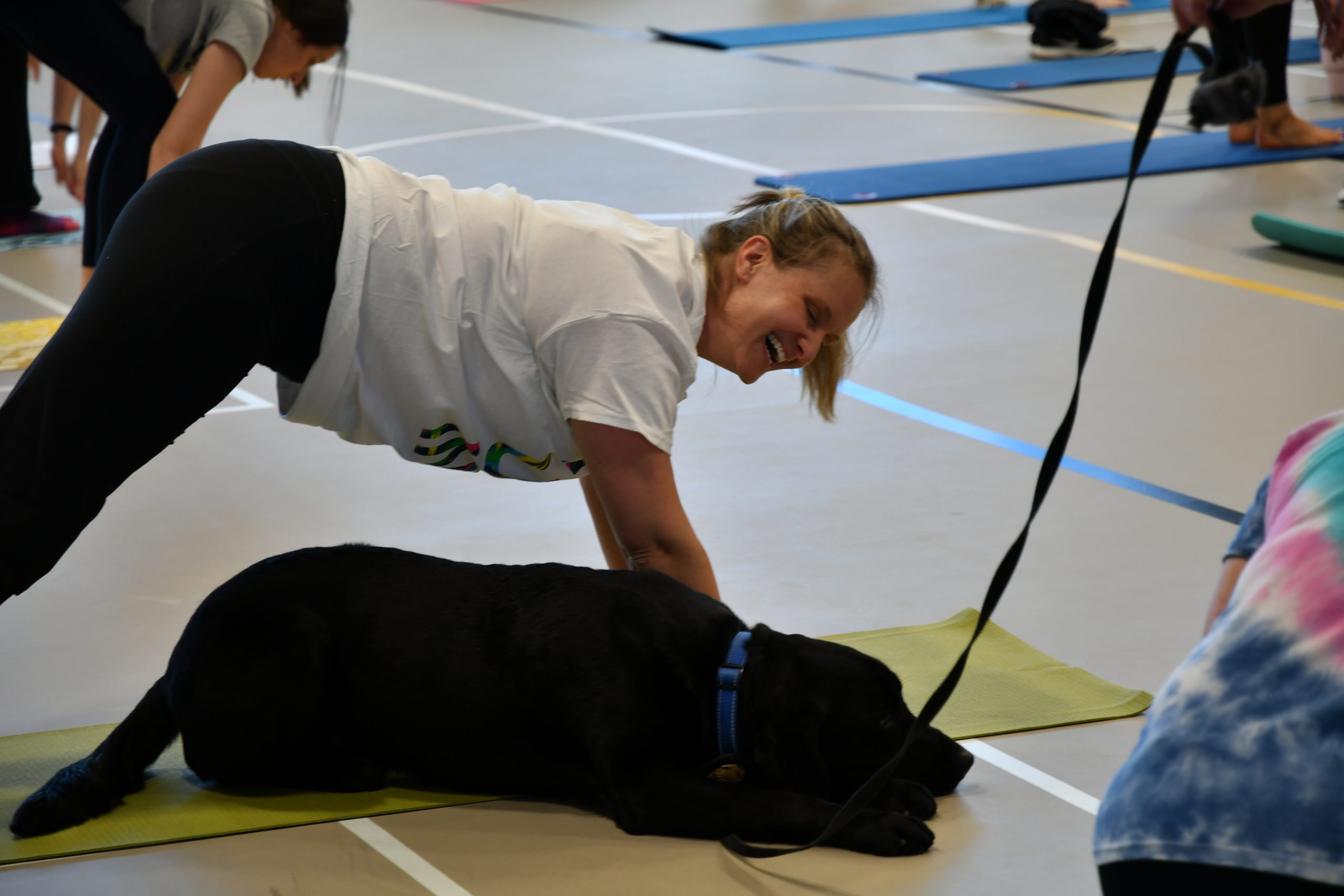 Dog Yoga