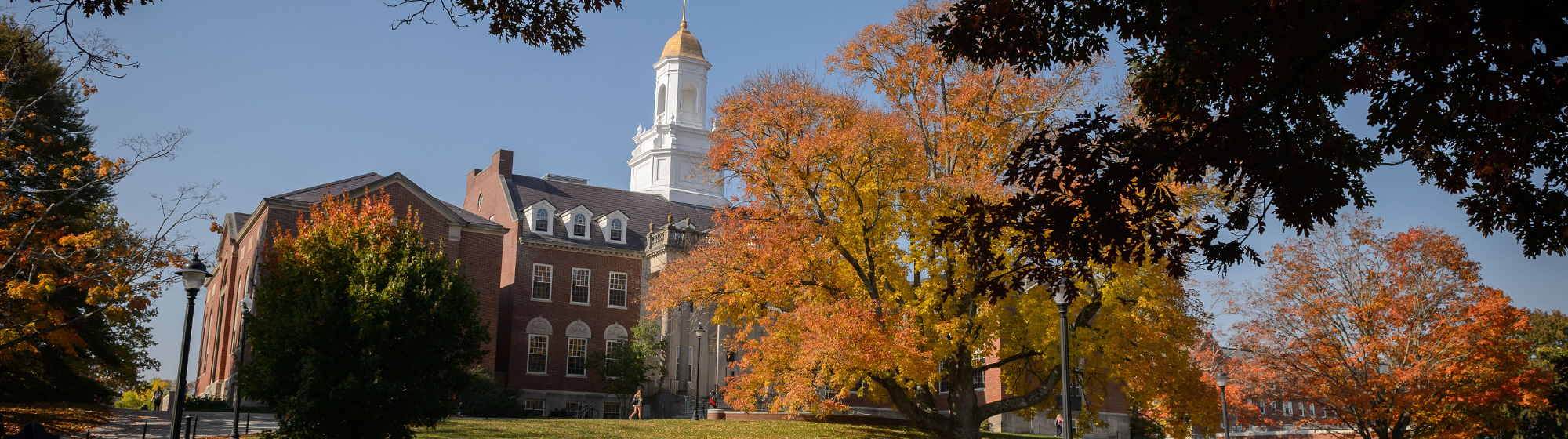 Cool photo of the Wilbur Cross Building in the fall.